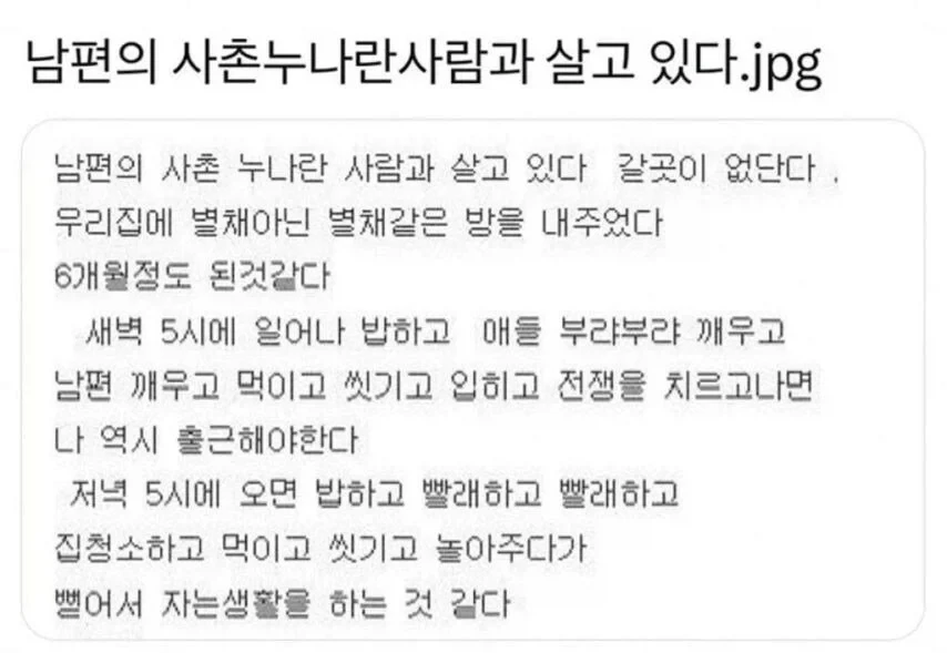 남편의 사촌누나란사람과 살고 있다.jpg_1.webp