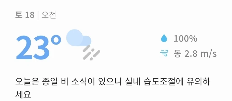결국 습도 100%를 찍어버린 날씨_3.webp