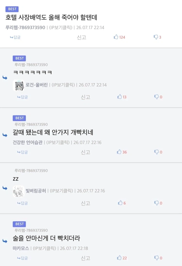 나홀로집에2 비둘기 아주머니 사망소식에 달린 뜻밖에 댓글_1.webp