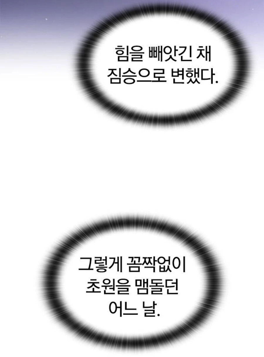 암컷 표범에게 수상하게 사랑받는 남자.manhwa_19.jpg