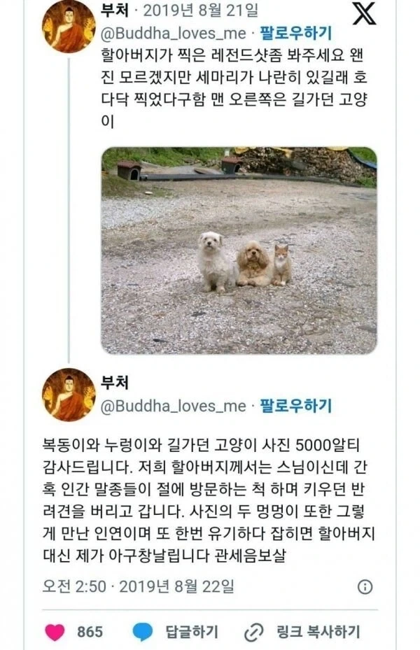 할아버지가 찍은 멍멍이 사진 레전드_1.webp