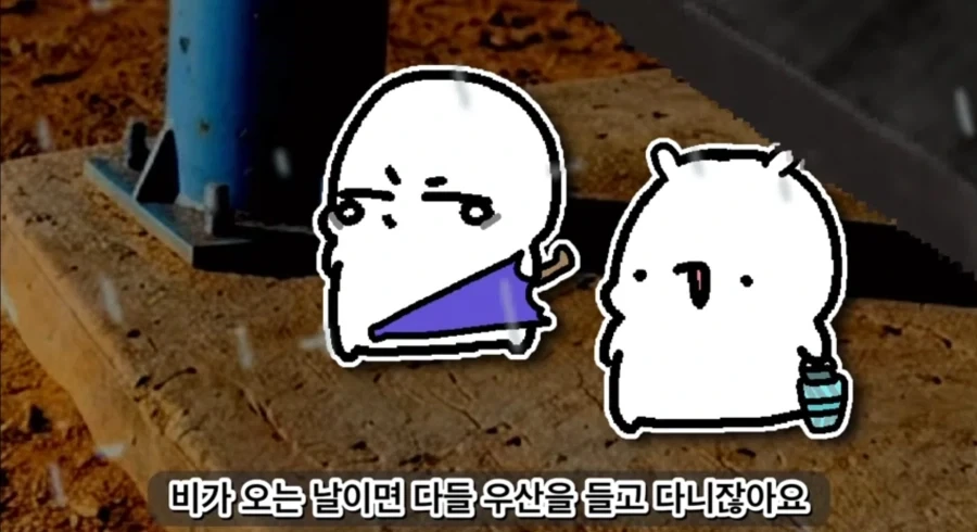 우산 위험하게 들고 다닌다고 뭐라고 하면 안되는 이유_1.webp