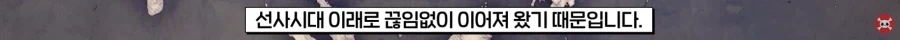 동북아 피부색이 위도에 비해 밝은 이유_2.webp