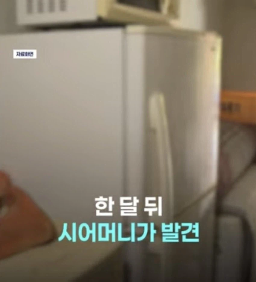 외도하고 낳은 아이를 냉동실에 넣은 엄마의 최후_3.webp