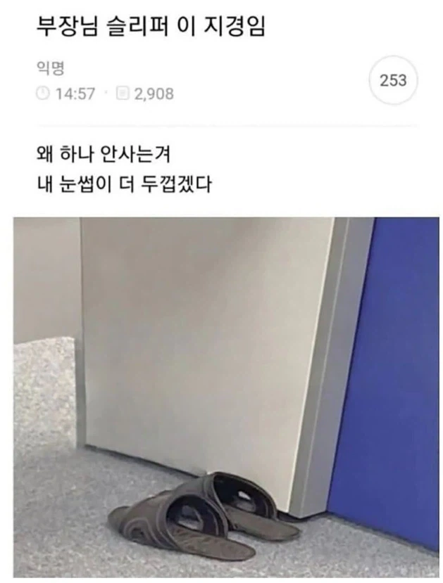 부장님 슬리퍼 이 지경임_1.webp