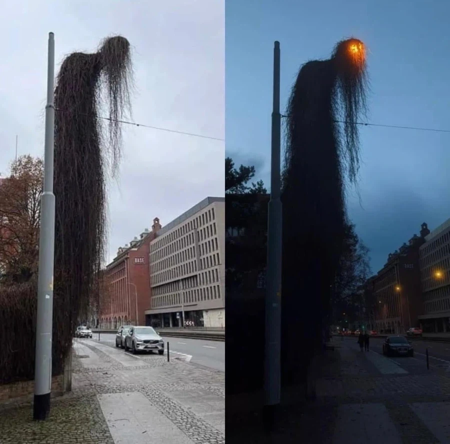 “우리 동네 가로등 존나 무섭게 생겼음”_1.webp
