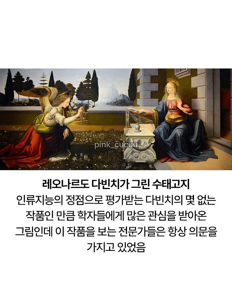 너무 이상하게 그려서 의문이였던 다빈 치 그림_1.webp