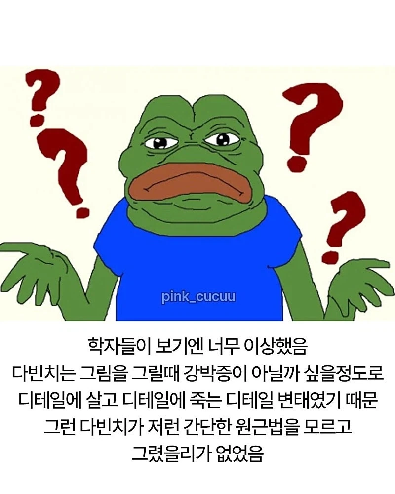 너무 이상하게 그려서 의문이였던 다빈 치 그림_4.webp