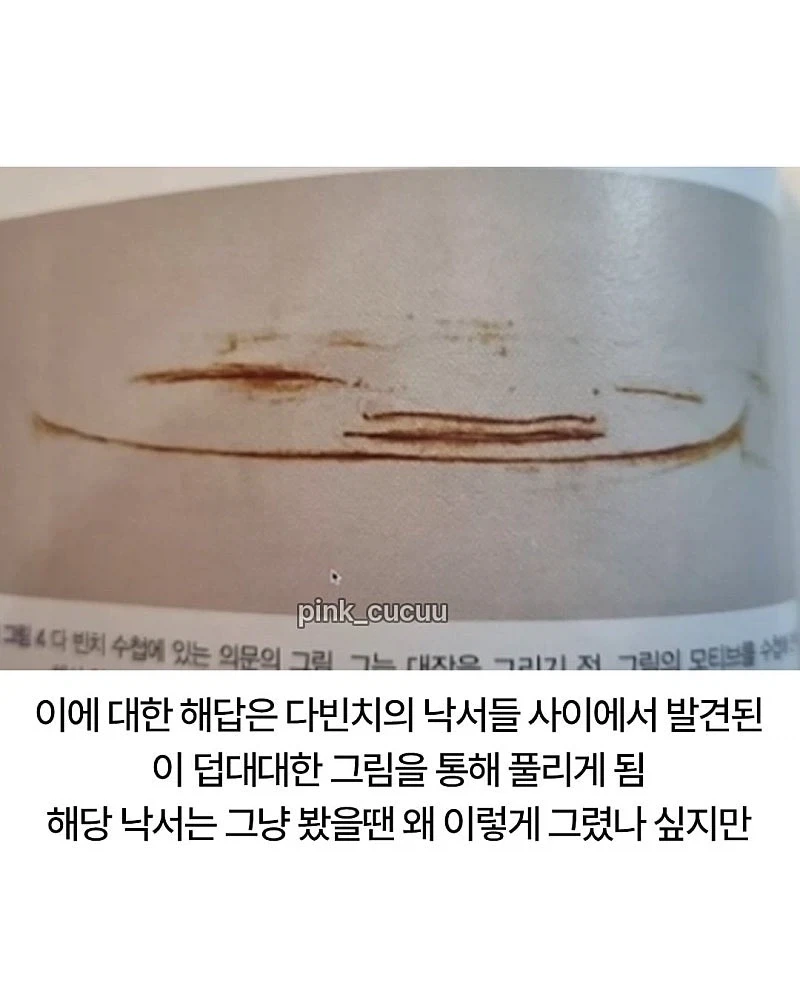 너무 이상하게 그려서 의문이였던 다빈 치 그림_5.webp
