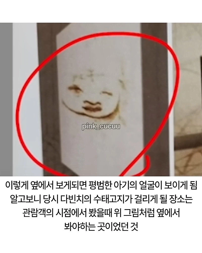 너무 이상하게 그려서 의문이였던 다빈 치 그림_6.webp