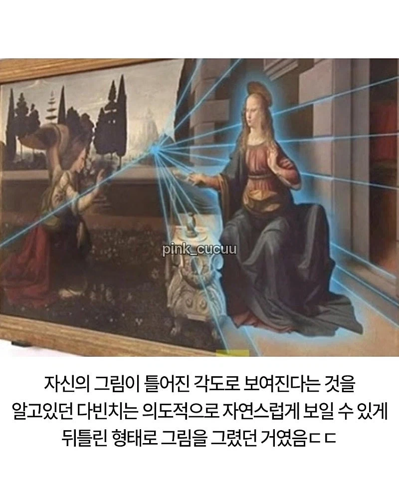 너무 이상하게 그려서 의문이였던 다빈 치 그림_7.webp