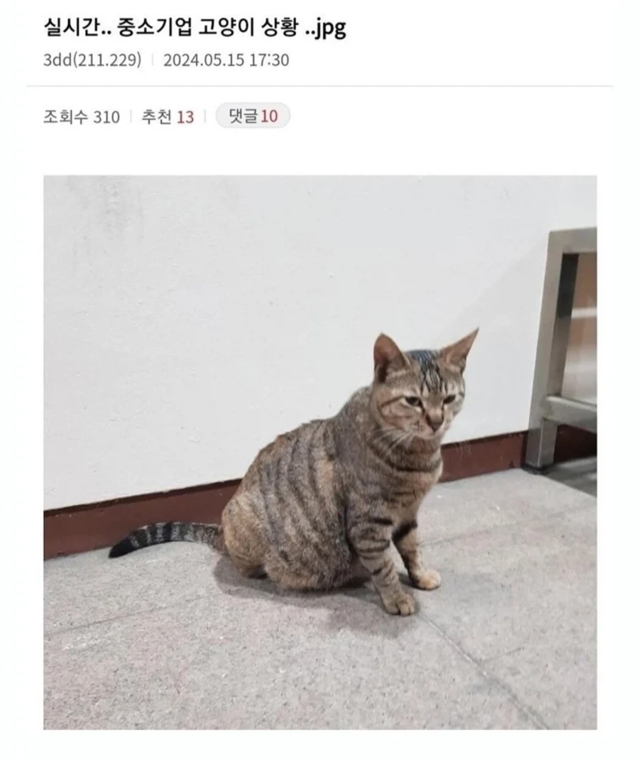 중소기업 동물들모음._1.webp
