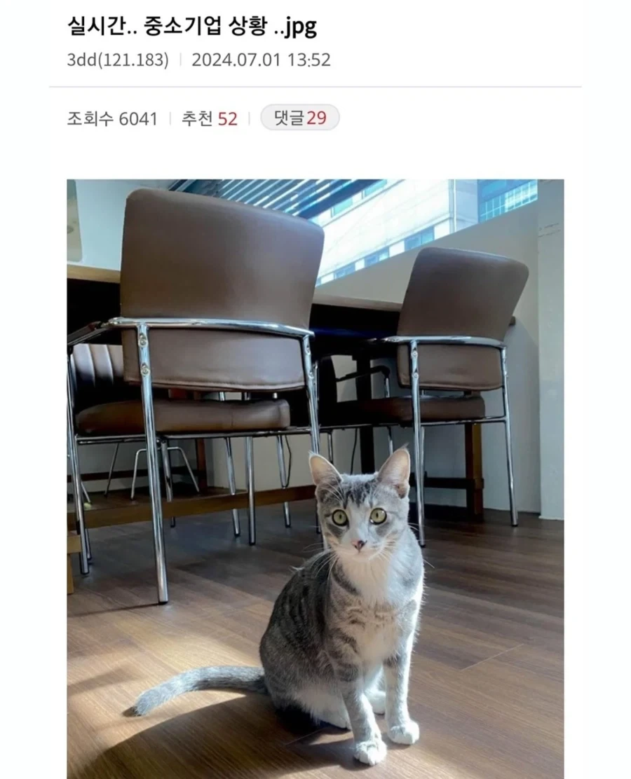 중소기업 동물들모음._3.webp