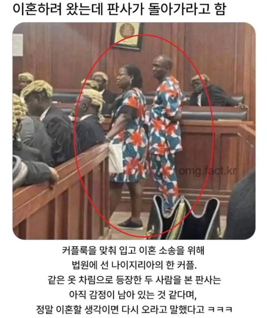 이혼하려 왔는데 판사가 돌아가라고 함_1.webp