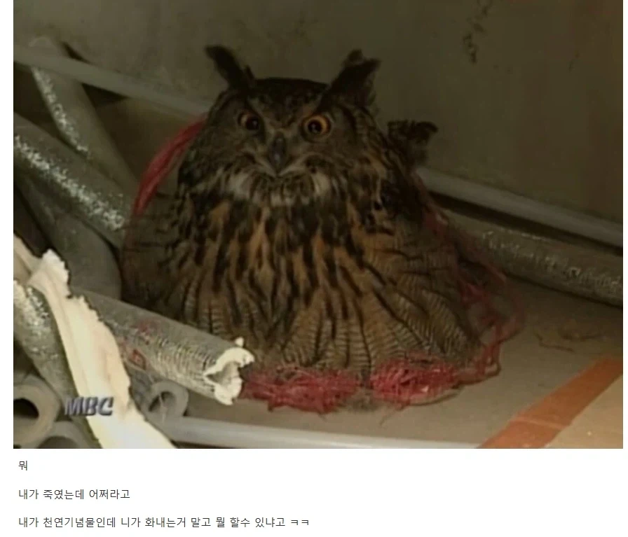 수십년이 지난 지금도 대책이 마련되지 않은 범죄행위_2.webp