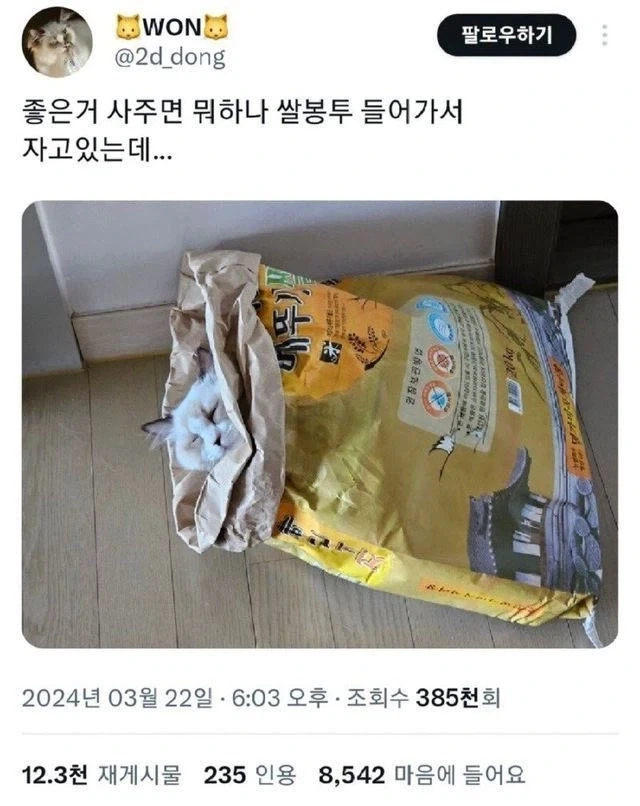 어휴 애한테 좋은 거 사줘서 뭐합니까_1.webp