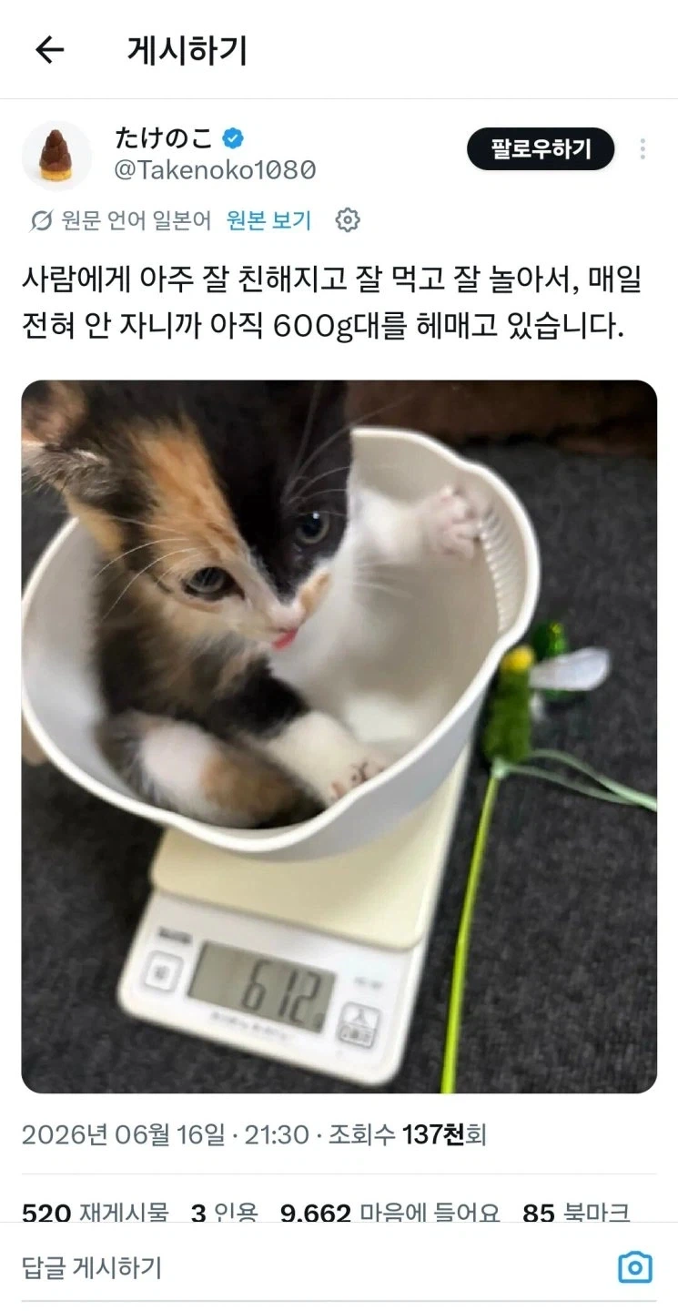 갑자기 나랑 결혼해줘서 고맙다는 남편_2.webp