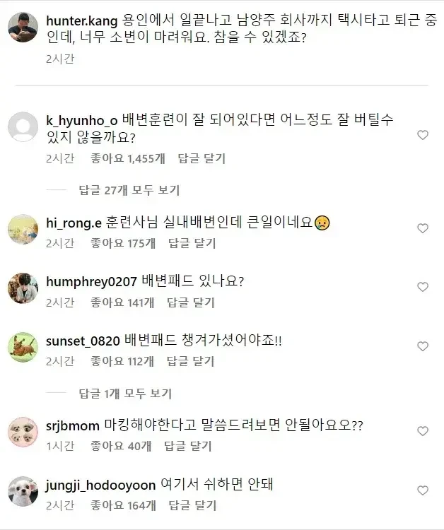 배변훈련이 잘 되어 있는 대형견.JPG_1.webp