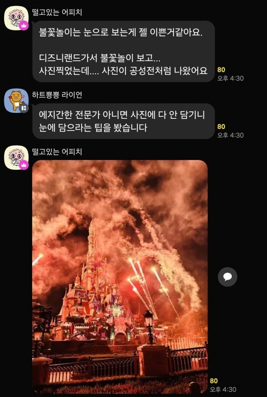 처참했던 디즈니랜드 공성전 기록사진_1.webp