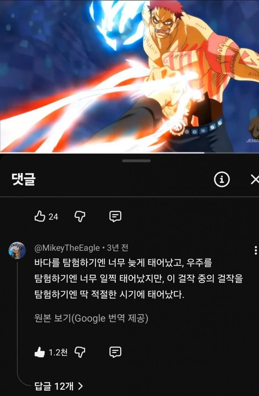 이 시대에 태어난게 나쁘지 않은 원피스 팬.jpg_1.webp