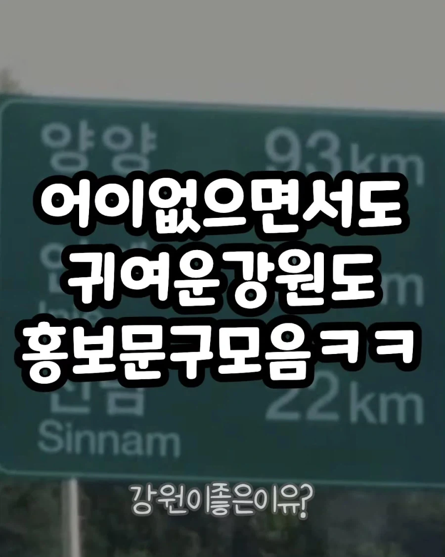 어이없으면서도 귀여운 강원도 홍보문구모음..._1.webp