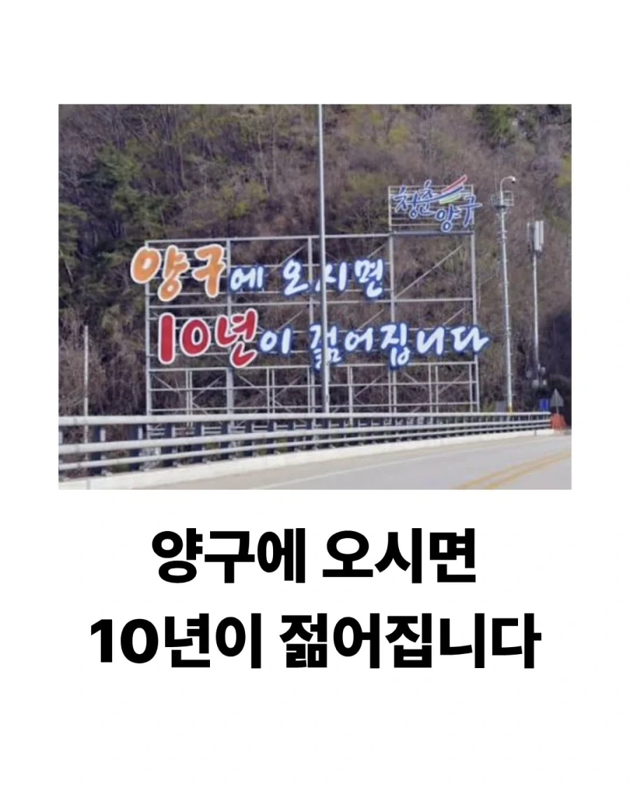어이없으면서도 귀여운 강원도 홍보문구모음..._2.webp