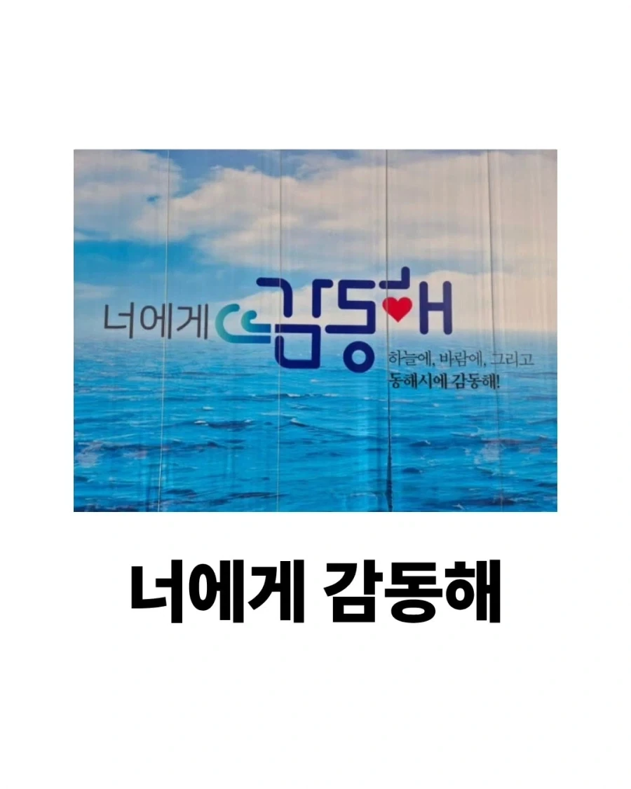 어이없으면서도 귀여운 강원도 홍보문구모음..._3.webp