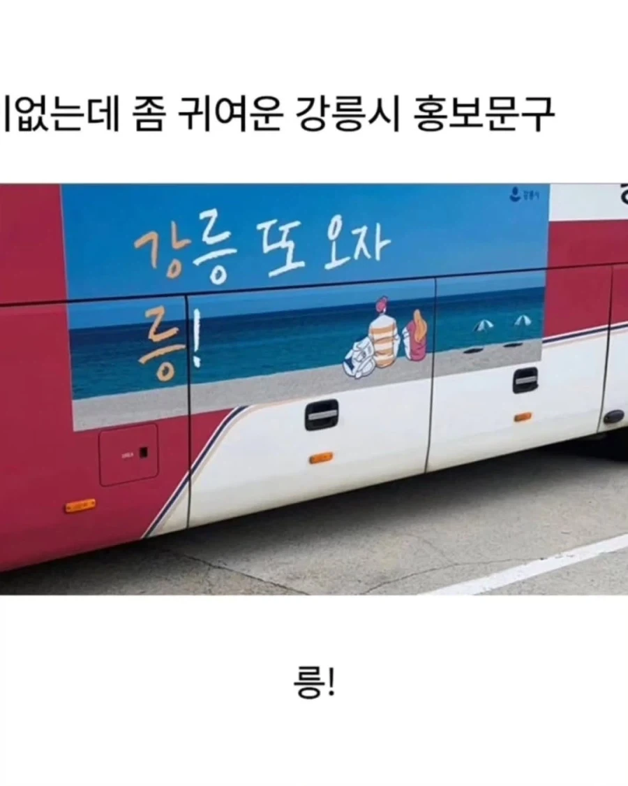 어이없으면서도 귀여운 강원도 홍보문구모음..._5.webp