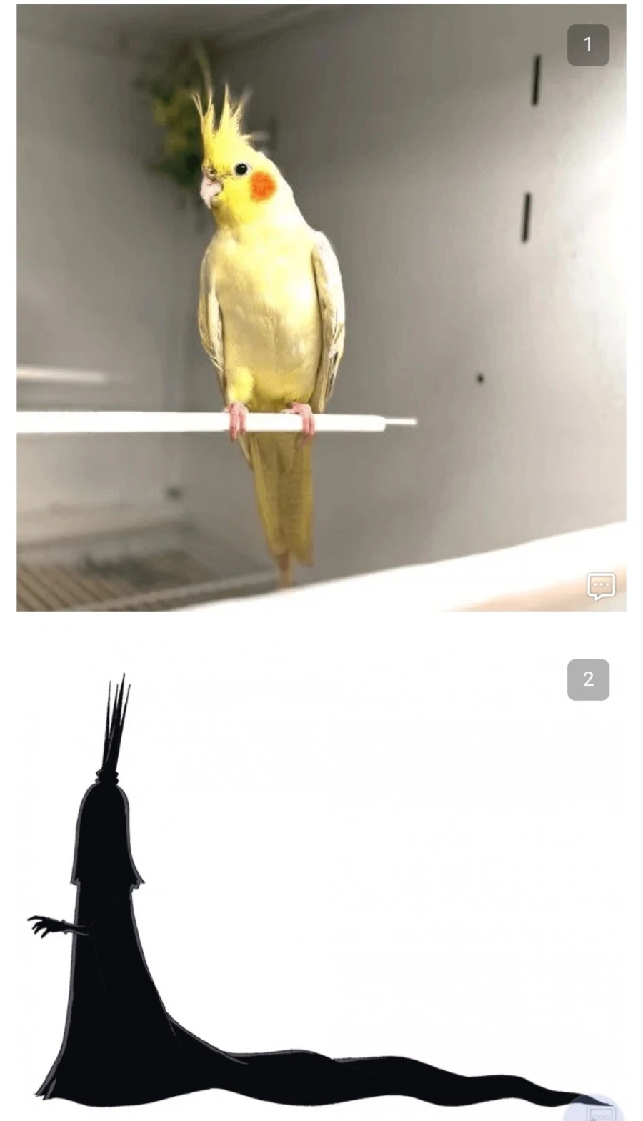 원피스)앵무새 찾으려니까 진짜 많네_3.webp