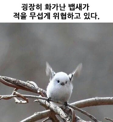 원피스) 흑막 히든 최종보스_1.webp