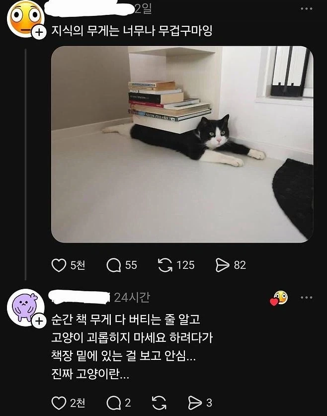 지식의 무게._1.webp