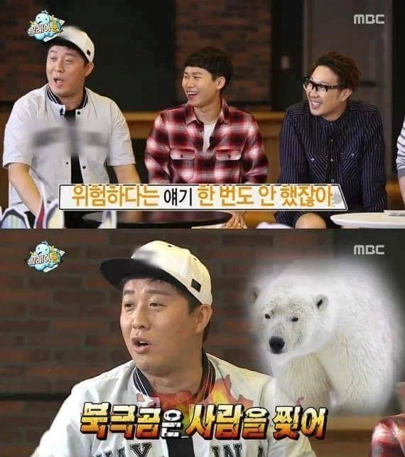 무한도전) 정준하 북극곰 드립이 나오게 된 이유_10.webp