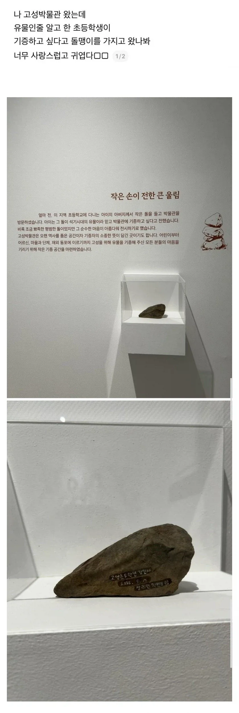 석기시대 유물이라 믿고 박물관에 기증한 초등학생_1.webp