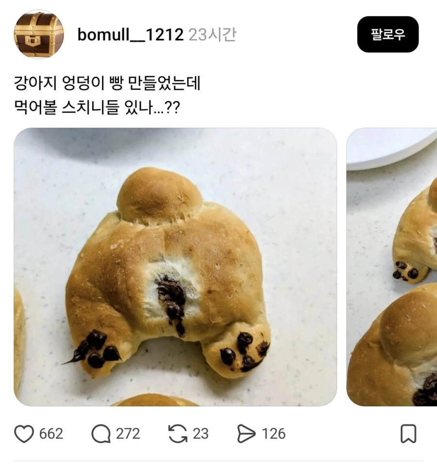 강아지 엉덩이빵_1.webp