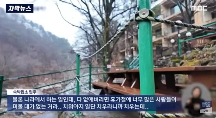 고양이가 쥐 걱정 해주고 있네_1.webp
