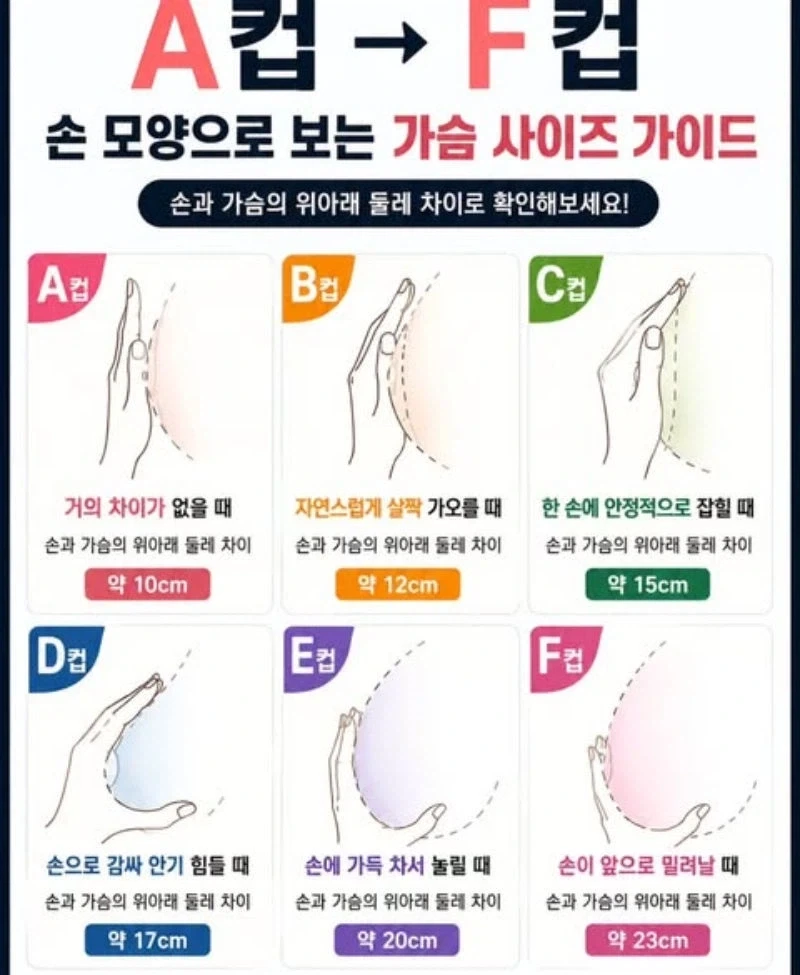 생활의 지혜_1.webp