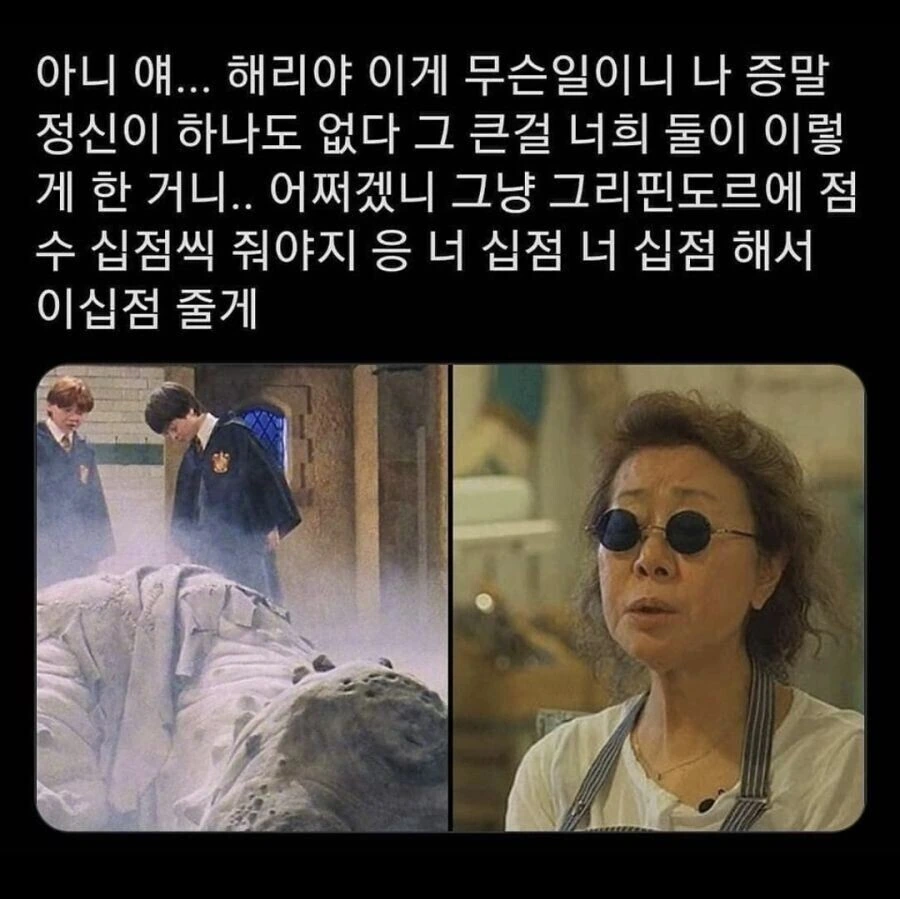 해리포터) 조앤 롤링이 영국 배우 제한을 풀어놓은 세계선의 해리 영화.jpg_1.jpg