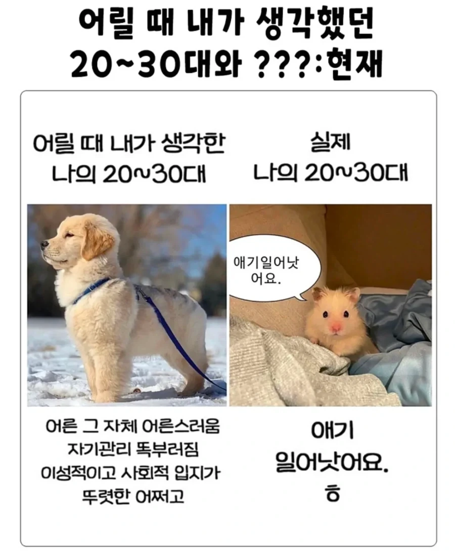 30대들 특징.real_2.webp