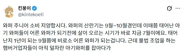 와퍼 주니어 먹지마라.jpg_1.webp