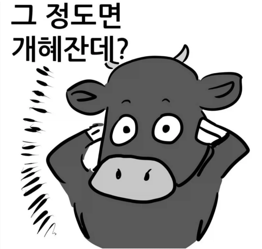 원피스) 앵무새설이 핫한 이유 ㅋㅋㅋ_3.webp