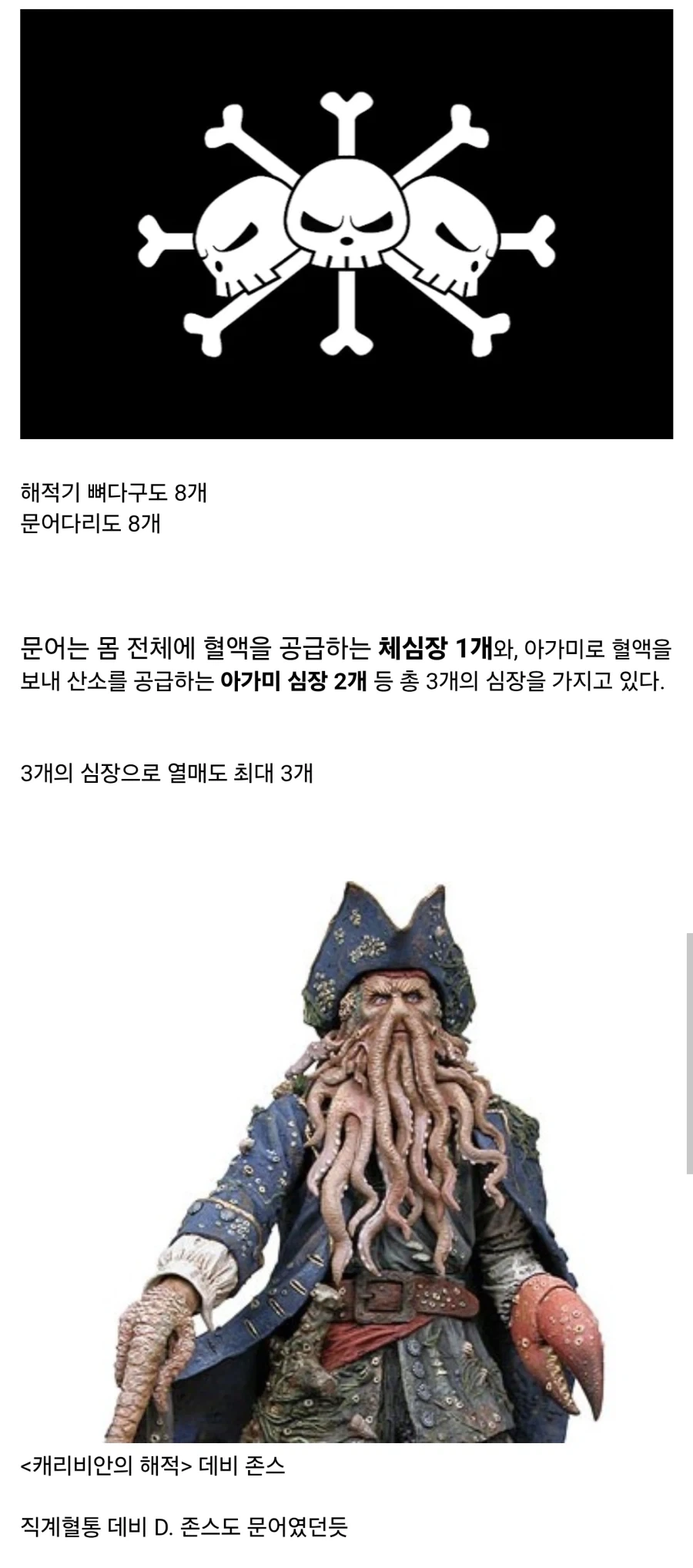 원피스) 티치 = 문어?_1.webp
