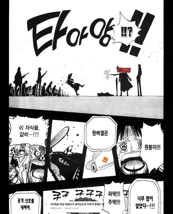 원피스) 몇 주 뒤.