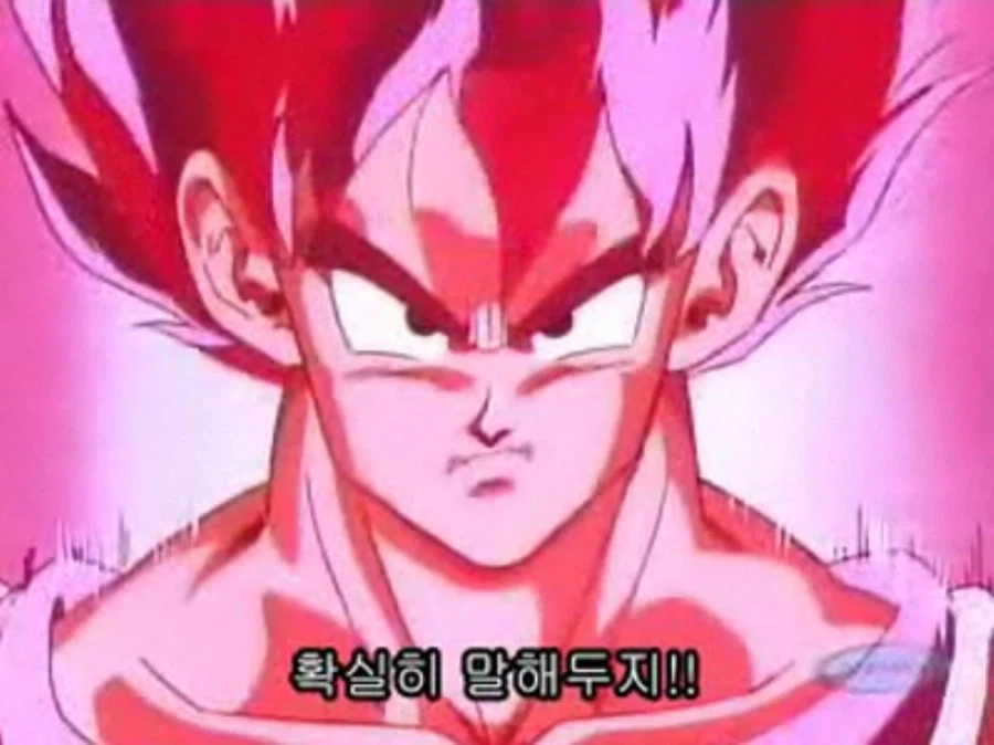 레버리지 민족의 투자 결과 차이를 알아보자_1.webp