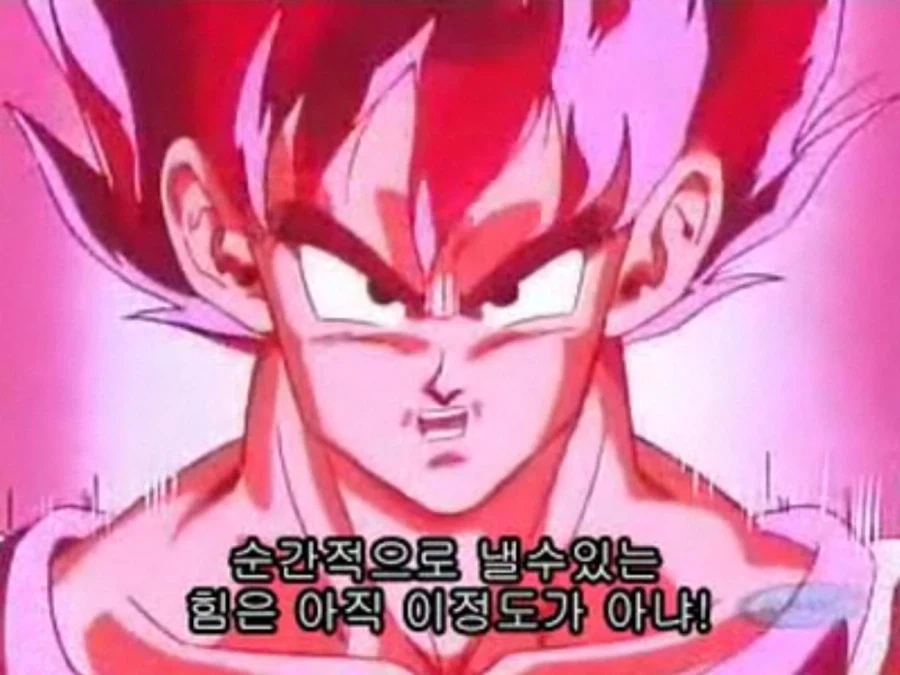 레버리지 민족의 투자 결과 차이를 알아보자_2.webp