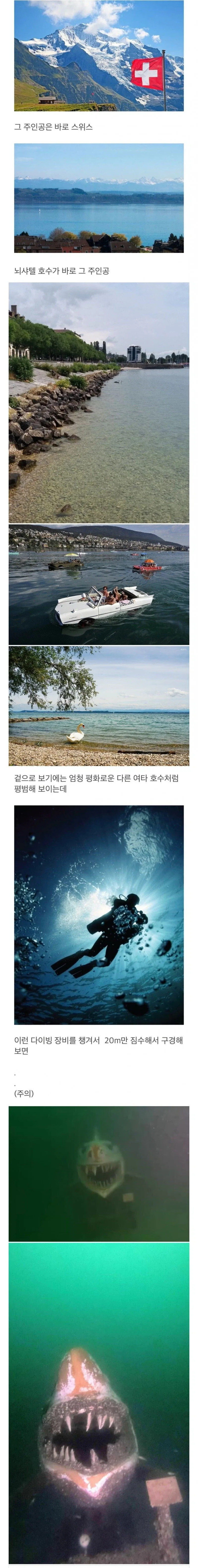 스위스 호수 깊은 곳에 숨어 있는 괴물.jpg_1.webp