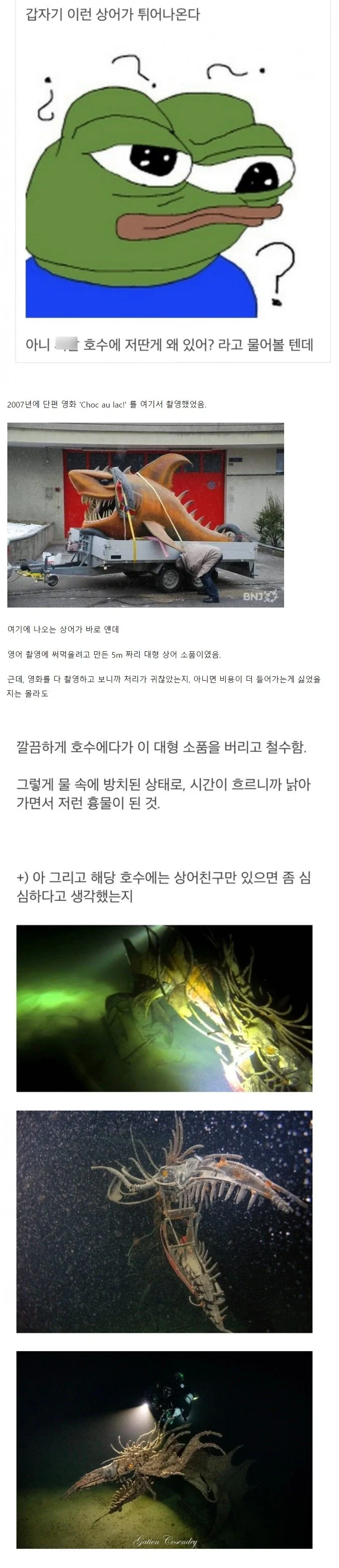 스위스 호수 깊은 곳에 숨어 있는 괴물.jpg_2.webp