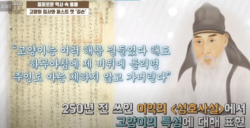 조선시대 고앵이 평가.jpg_1.webp