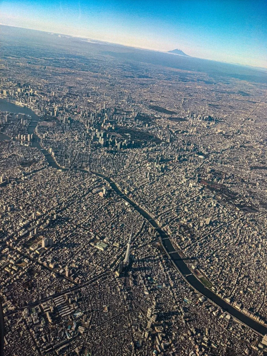 아스팔트의 숲_1.webp