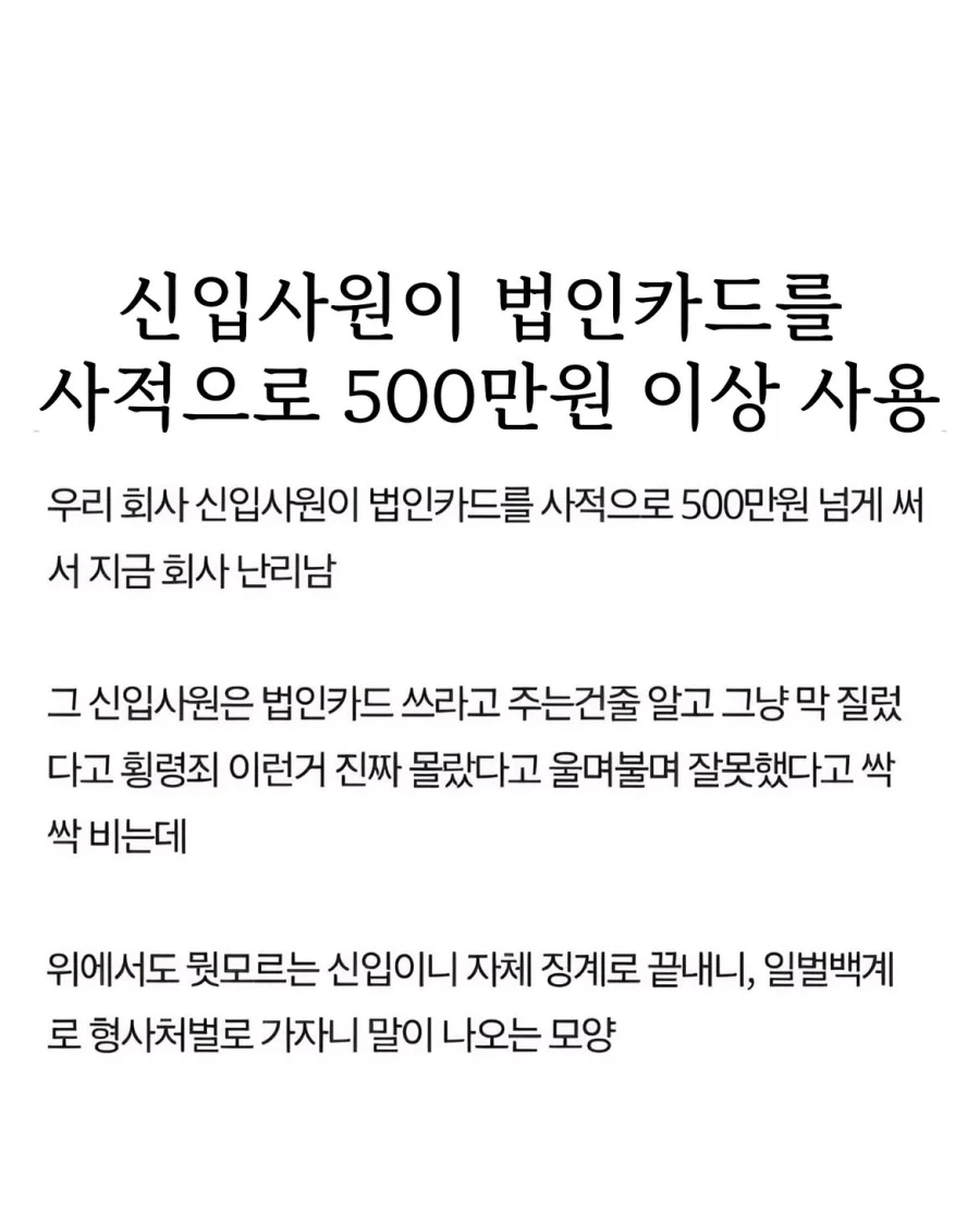 신입사원이 법인카드를 사적으로 500만원 이상 사용.jpg_1.webp