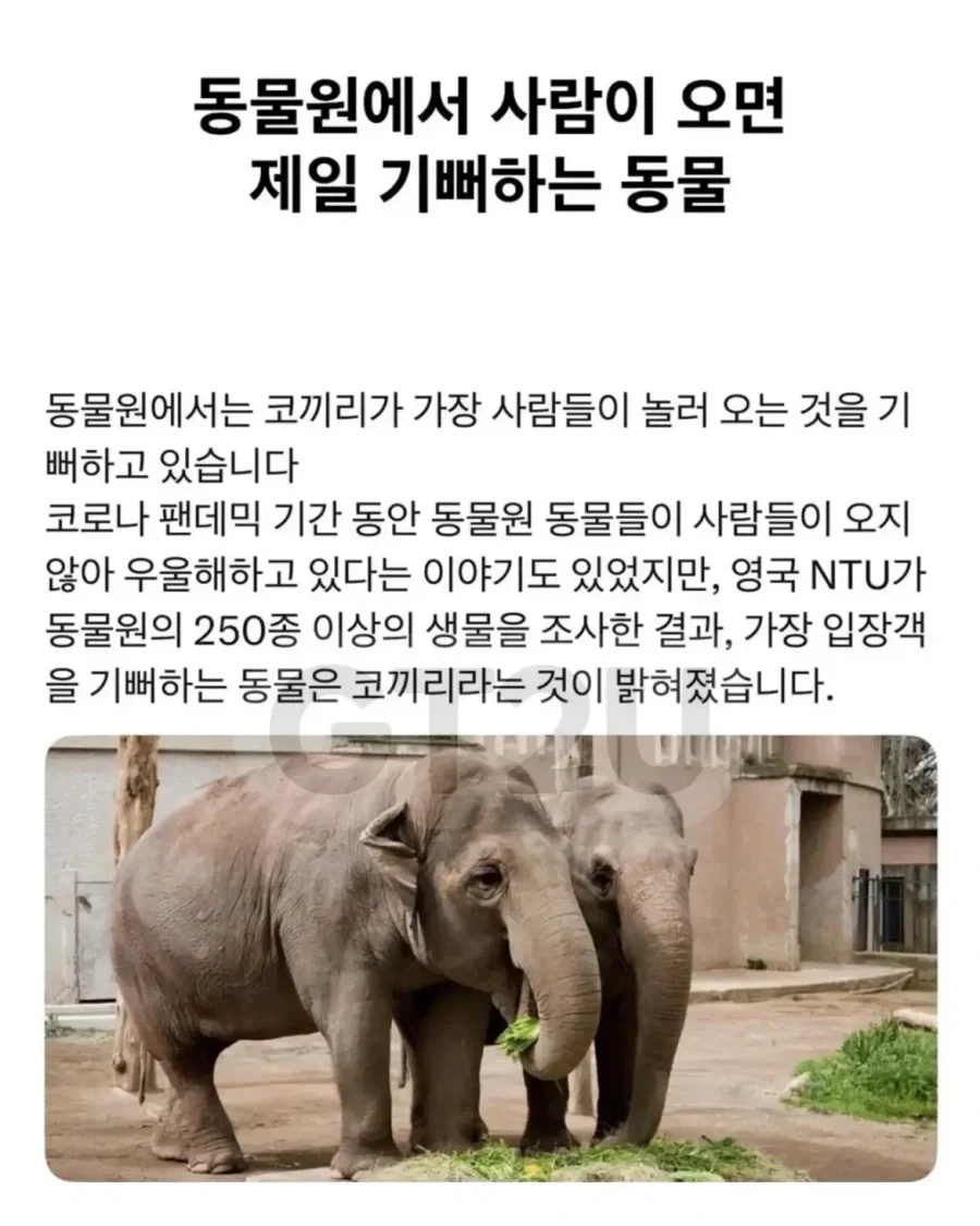동물원에서 사람 오면 제일 좋아하는 동물_1.webp